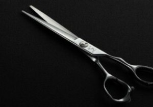 Windows 11 Snipping Tool Not Working: 10 Possible Fixes