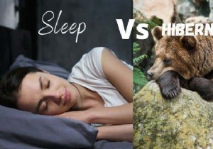 What Is the Difference Between Sleep and Hibernate in Windows 10?