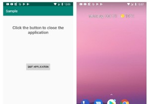 How to quit application programmatically?