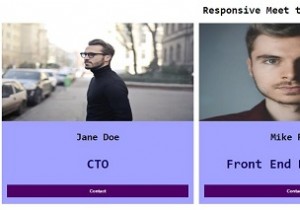 How to create responsive Meet The Team page with CSS?