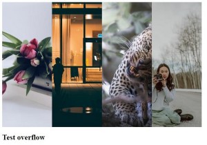 Disabling Scroll Anchoring with CSS