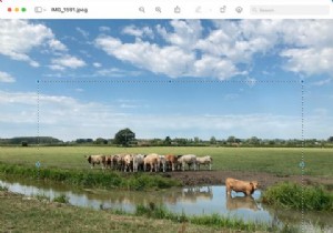 How to Crop a Picture on Your Mac