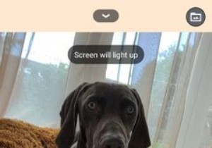 6 Google Pixel Features That Help You Take Fantastic Selfies