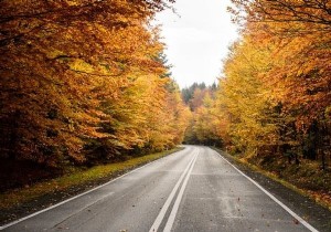 Explain OpenCV Laplacian Transformation using java Example