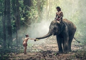 How to draw markers on an image using Java OpenCV library?