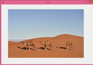 Embedding an Image in a Tkinter Canvas widget using PIL