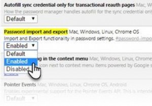 How to Import & Export Your Passwords in Chrome