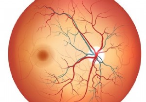 Are Retina/Iris Scanners The Next Level Of Mobile Security?