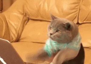 How Advertisers Use Web Beacons to Track You on the Web and in Emails