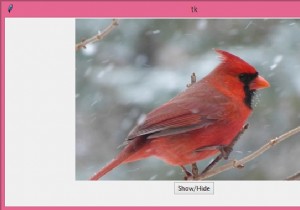 How to hide and show canvas items on Tkinter?