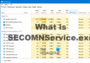 What is SECOMNService.exe? Can I disable it?