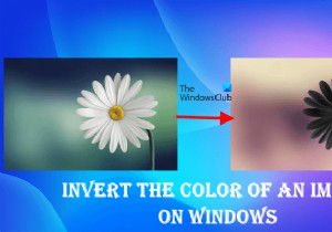 How to invert the color of an image on Windows PC