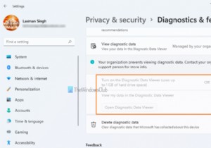 How to disable Diagnostic Data Viewer in Windows 11