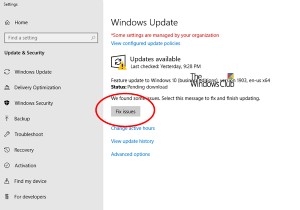 Fix issues button on the Windows Update page