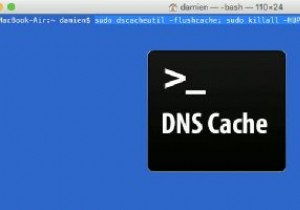How to Flush the DNS Cache on Your Mac