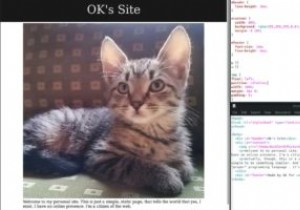 The Beginner’s Guide to HTML and CSS