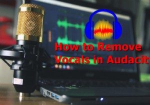 How to Remove Vocals in Audacity?