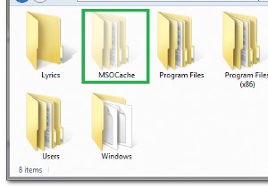 What is the MSOCache and Should it be Deleted?