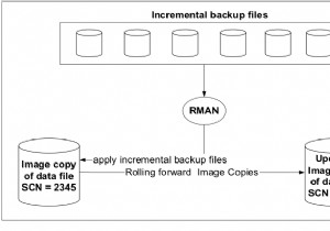 Rapid Database Recovery with Incrementally Updated Images