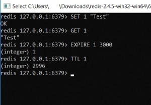 Retrieve Redis Key Expiration Time with TTL & PTTL Commands