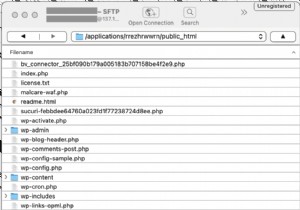 WordPress Essentials: Mastering File Structure & Database for Beginners