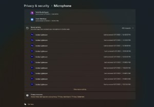 Windows Insider Dev Channel Adds New Privacy Audit Tool for App Access Monitoring