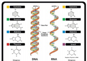 Unlocking Biotechnology: 7 Surprising Facts You Didn t Know