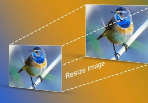 Master Image Orientation & Scaling with the Image Resizer Tool: A Step‑by‑Step Guide