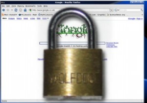 Secure Your Browsing with Firefox Perspectives – Protect Your Privacy