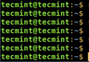 Create a Shared Directory Accessible to All Users on Linux: Step-by-Step Guide