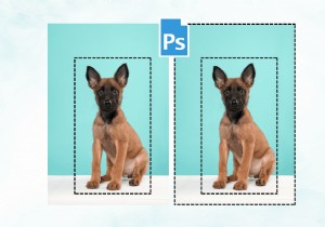 Master Photoshop Selection: 3 Proven Ways to Invert Selections With or Without Shortcuts